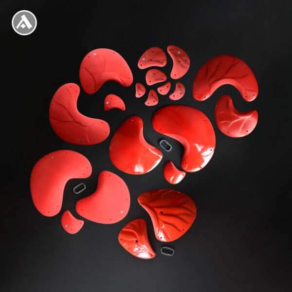 Pancakes Family | Anatomic Climbing Holds