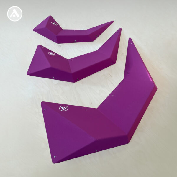 Leguan set | Iguana set Plywood Volume | anatomic.sk