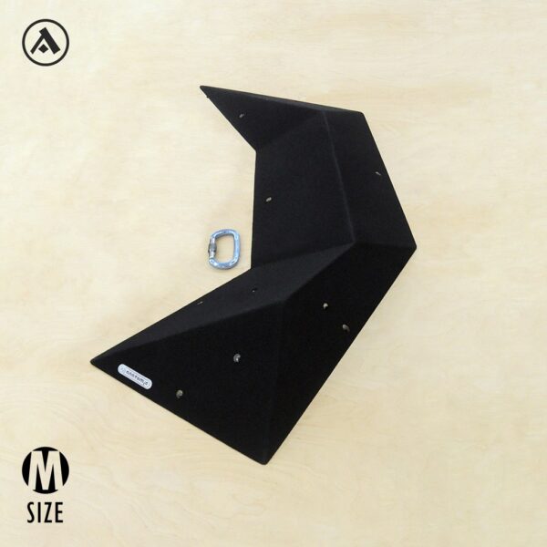 Iguana Wooden VOlume | anatomic.sk