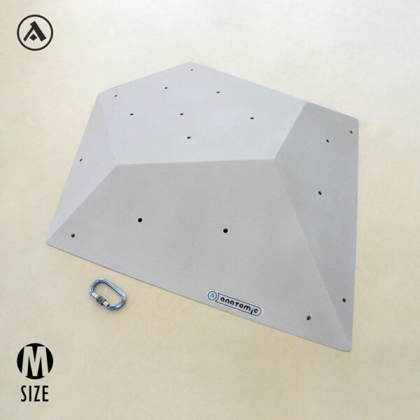 Tulip Plywood Volume | anatomic