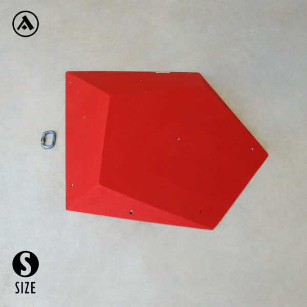 Tulip Plywood Volume | anatomic