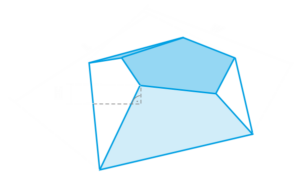 Tulip Anatomic Plywood Volume 