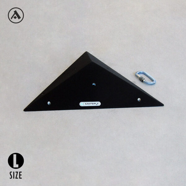 Volume 20° | Plywood Triangle | anatomic