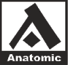 Anatomic - Lezecké steny a chyty