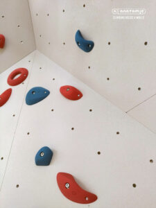 Climbing Wall ZŠ Lichardova | Anatomic.sk
